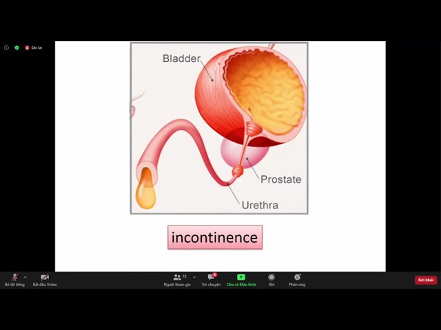 Tiếng Anh Chuyên Ngành Y Khoa // Unit 7 // The Urinary System