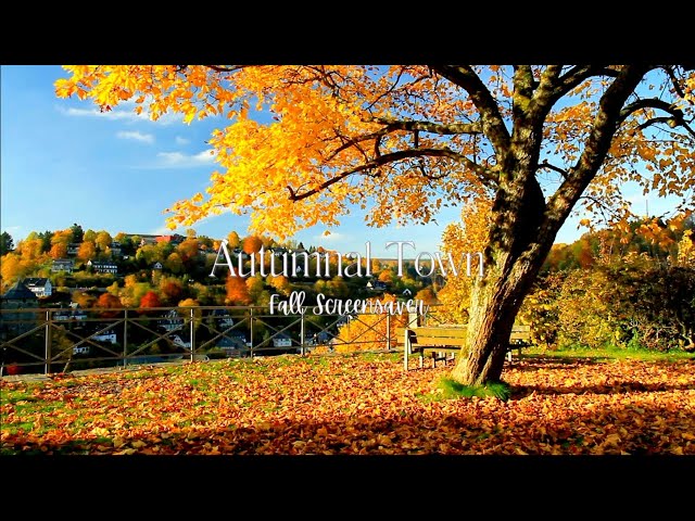 ✨Gilmore Girls✨Inspired Autumnal Scene 🍁 | Fall Instrumental Ambience