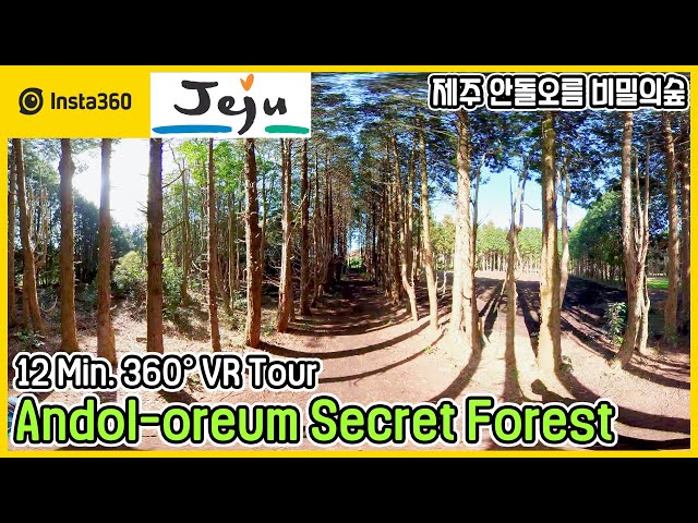 Jeju Andoloreum Secret Forest 360 VR Tour | Insta360 One X 2