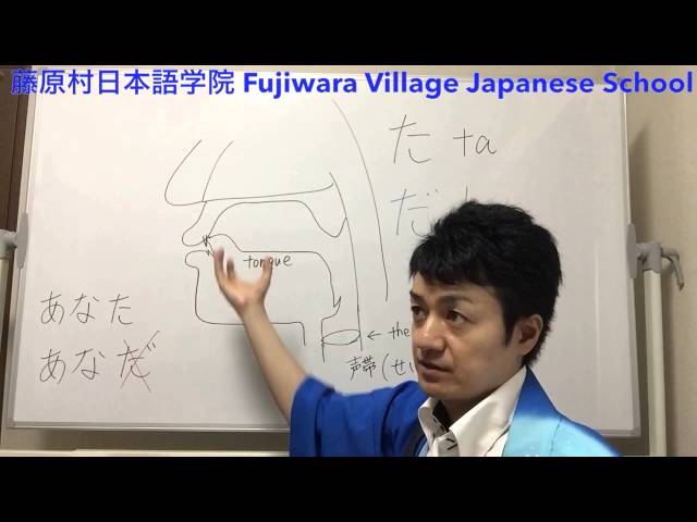 Japanese pronunciation た & だ explanation how to distinguish in Japanese, English, 發音、发音、発音