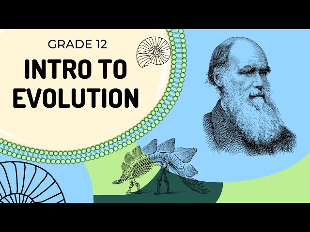 EASY TO UNDERSTAND | Introduction to Evolution