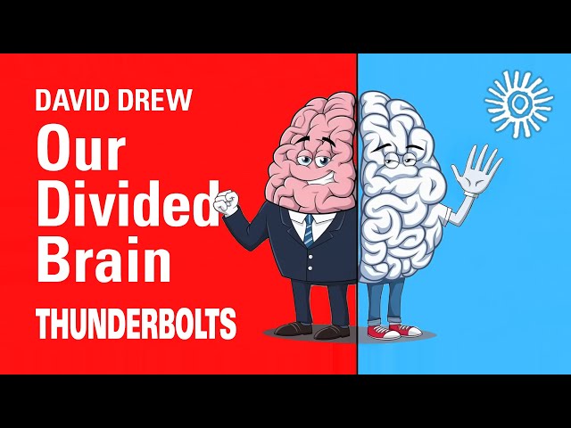 David Drew: Our Divided Brain | Thunderbolts