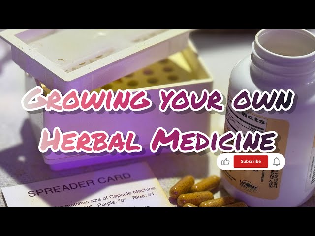 How to Use a Capsule Machine | Making Herbal Medicine | Season 6 | E12