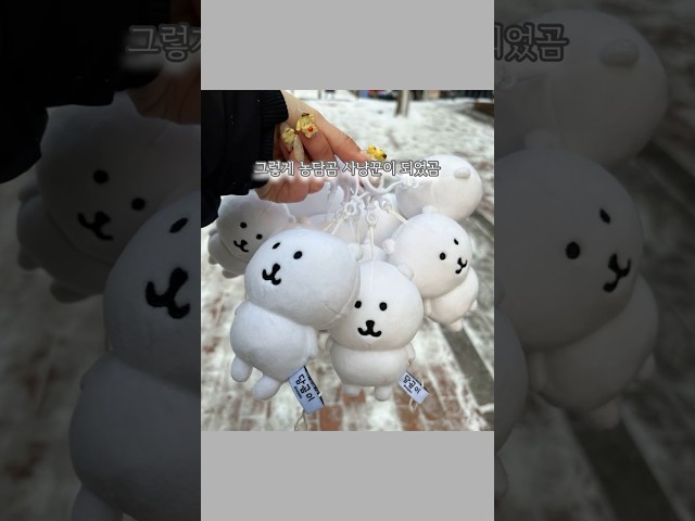 미니 농담곰 10ㅁㅏㄹㅣ사냥했곰 #농담곰 #인형뽑기 #뽑기 #nagano 인형뽑기 잘하는 방법 💓