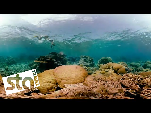 EXPLORE AUSTRALIA IN 360° | Great Barrier Reef | STA Travel