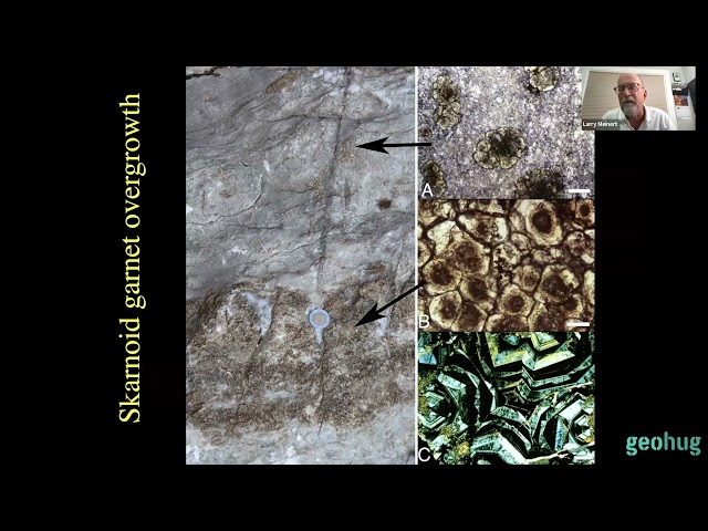 Larry Meinert - Exploration for skarn deposits