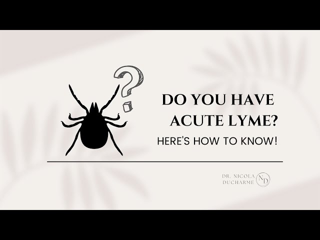 How Do You Know if You Have Acute Lyme?