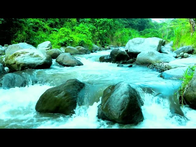 Forest river sounds for meditation, water asmr , Water sounds for relaxation and sleep