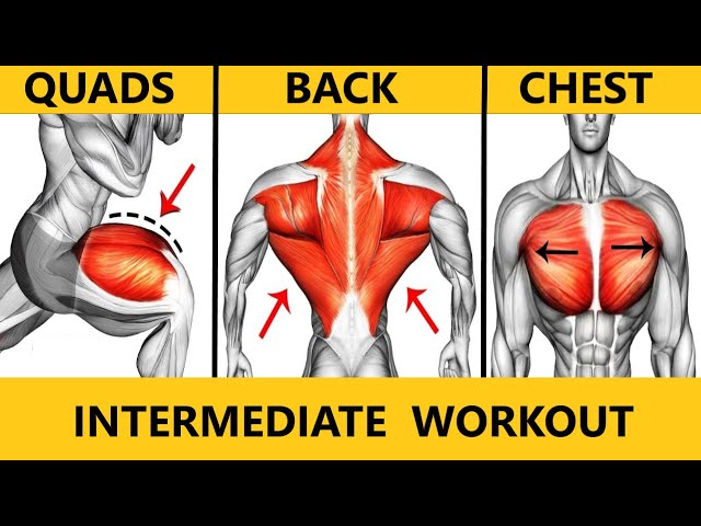 INTERMEDIATE WORKOUT  BACK CHEST QUADS  MUSCLE BUILDING WORKOUT