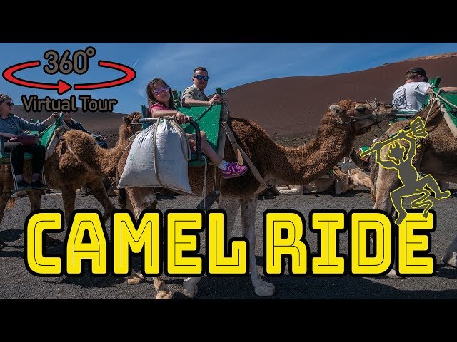 First time on a camel. (360 VR panoramic)