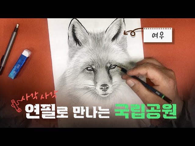 이걸 연필로 그렸다고요? 귀여운 토종여우🦊 │ 사각사각 연필로 만나는 국립공원✏