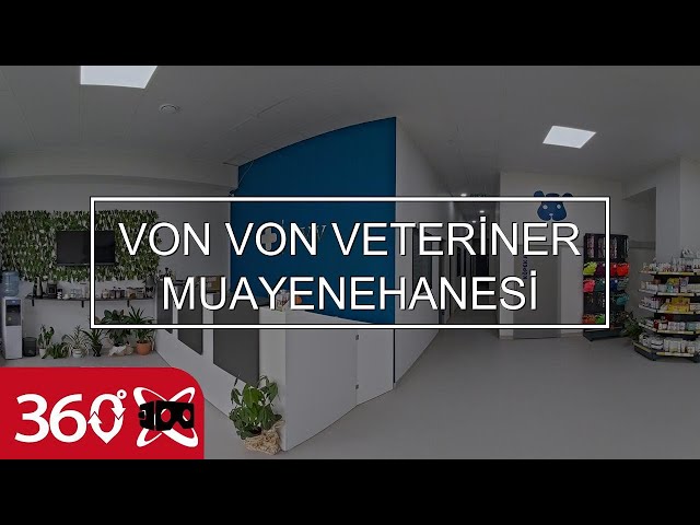 VON VON VETERİNER MUAYENEHANESİ | This is 360 VR Video