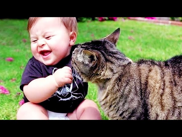 Cutest Babies Play With Dogs And Cats Compilation || Cool Peachy