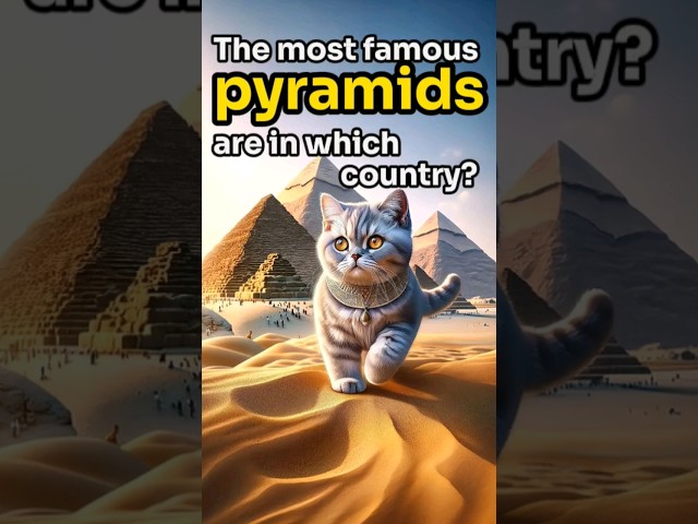 【CAT STORY】 GUESS The most famous pyramids are in which country? #quiz #shorts #subscribe #cat