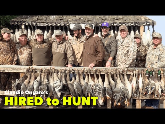 Hired to Hunt Goose Chairs and Goose Limits!! ... Season 8 #4 ... Goose Hunting Duck Hunting ALBERTA