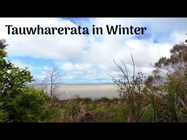 Tauwharerata (Western Lakes) in Winter Narrated by Ra Smith