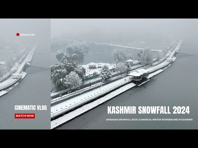 “This is What SNOWFALL in SRINAGAR Really Looks Like! 🌨️ | Kashmir 2024 Snowfall ! 28th Dec 2024 |