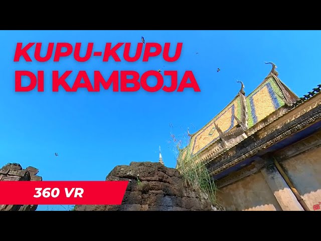 Tempat banyak kupu-kupu terbang, Bepergian di Kamboja | 360 VR