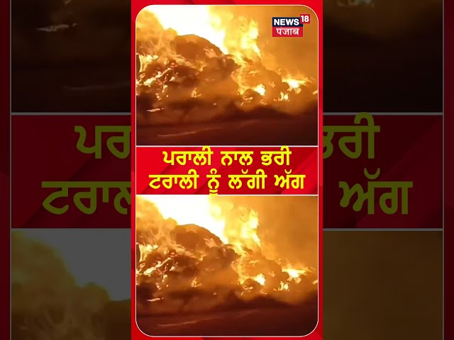 ਪਰਾਲੀ ਨਾਲ ਭਰੀ ਟਰਾਲੀ ਨੂੰ ਲੱਗੀ ਅੱਗ | Nabha Stubble Catches Fire #shorts | Punjabi News | N18S