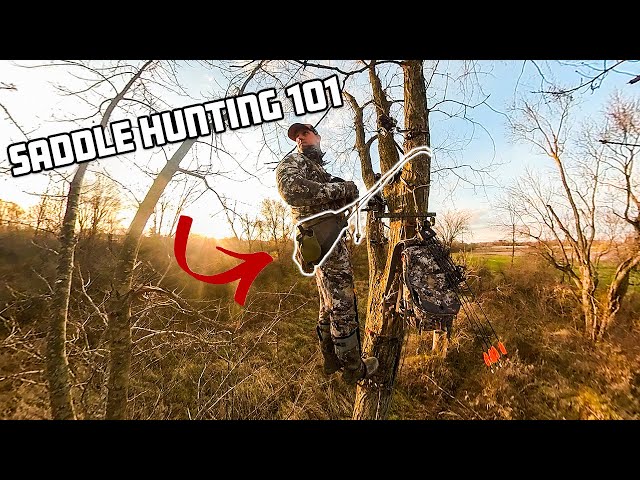 Saddle Hunting 101 - EVERYTHING YOU NEED TO KNOW!!