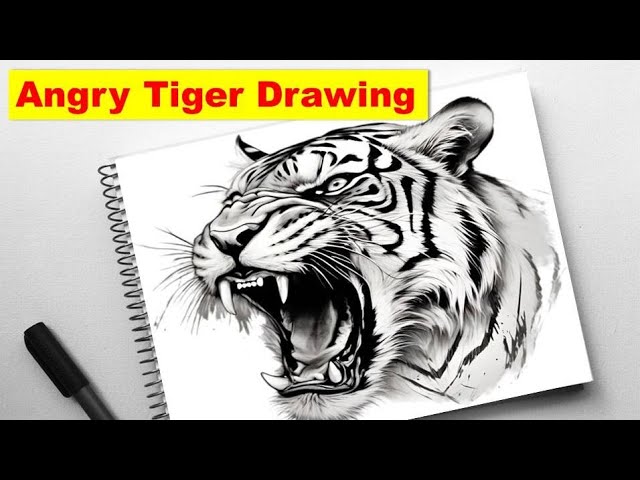 Angry Tiger Drawing Sketch | Easy and beautiful tiger drawing |Trending Art | Sketch | Art