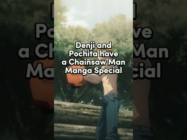 Denji and Pochita Chainsaw Man Manga Special