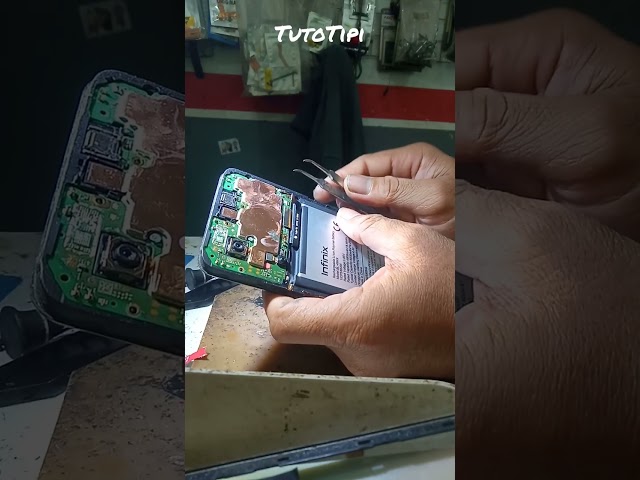 bongkar/disassembly infinix smart 8/x6525