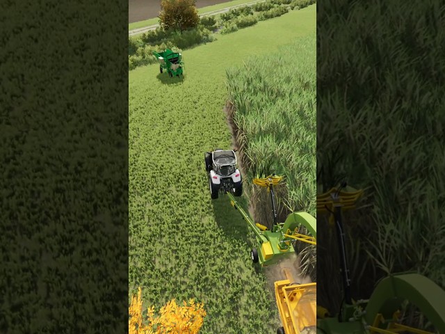 Sugar Baron in FS22 #shorts #fs22  #farming #automobile #framingsimulator #gaming #farmsim #simfarm