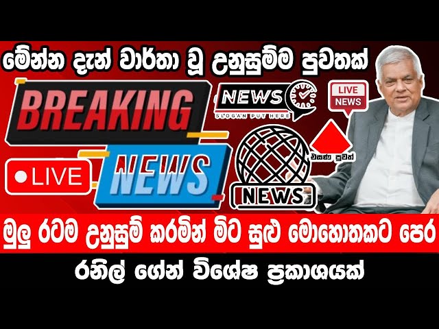 breaking news|election prediction srilanka news|hiru news|political news|hiru tv live|news 1st