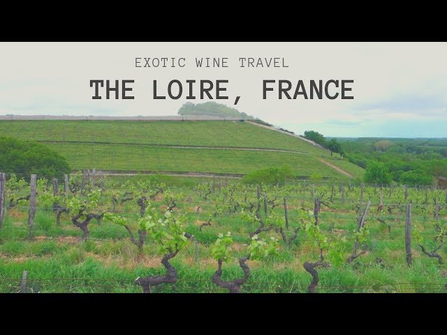 French Wine: Exotic Wine Travel In The Loire