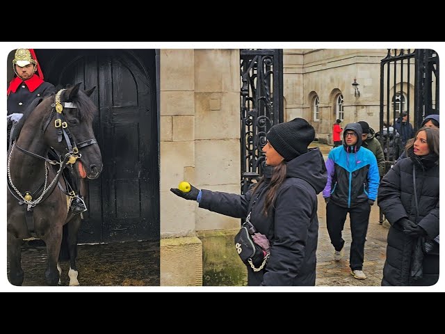 Horse Gets EXCITED When he Spots Spanish Apple Before BIG Event at Horse Guards!