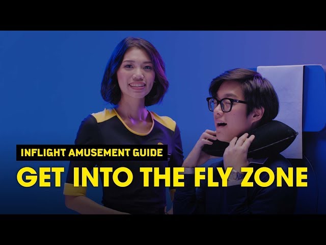 Get Into The Fly Zone - Scoot