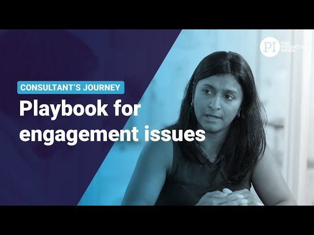 Consultant playbook for engagement issues