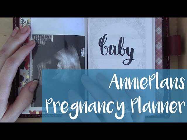 AnniePlans Printables Pregnancy Planner Review