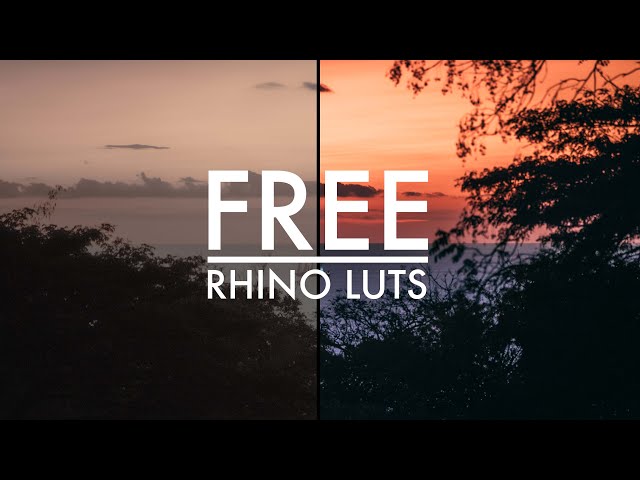 Free LUTS From Rhino Sliders Reviewed