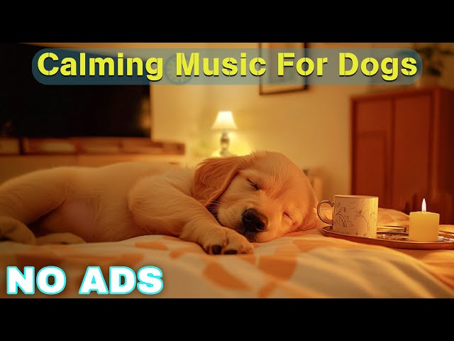 12 HOURS of Dog Calming Music for Dogs🦮💖Anti Separation Anxiety Relief Music🐶🎵Music for Dogs