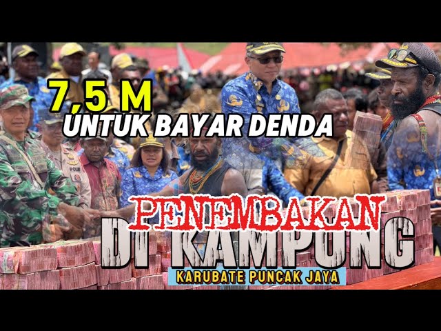 7,5 M,BAYAR DENDA ADAT PENEMBAKAN MASYARAKAT DI KAMPUNG KARUBATE DISTRIK MUARA KAB.PUNCAK JAYA