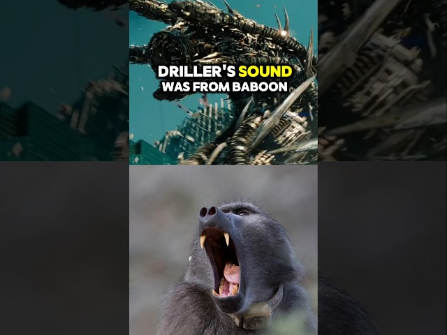 Driller's sound was actually from BABOON ?! #edformers #transformers #tidal