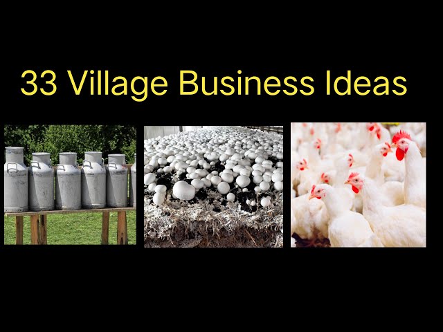 33 Village Business Ideas