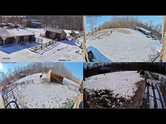 Live Horse cams K&D Farm