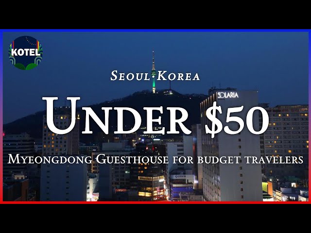 [Myeongdong·Seoul] TOP3 Guesthouse for budget travelers under $50 (Feb 14~Feb 16) #seoultravel