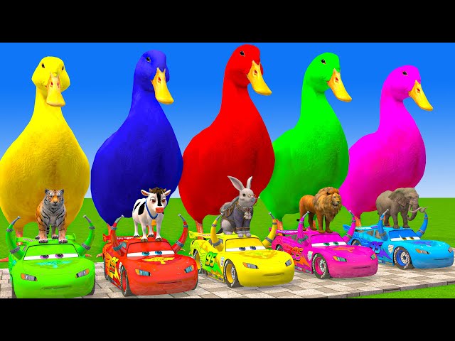 5 Giant Duck Cartoon,Cow,Elephant,Giraffe,Tiger,Lion, Paint Wild Animals Crossing Fountain Animation