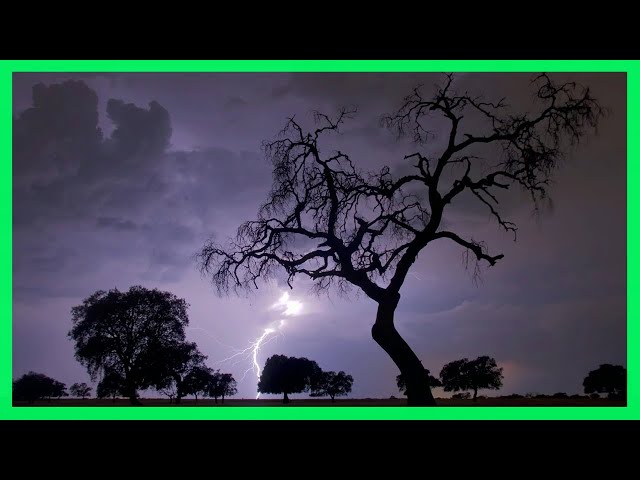 ⚡ Sound of Rain and Thunder ⚡ 4 Hours - Strong Storm - Relax Rain and Thunder to Sleep