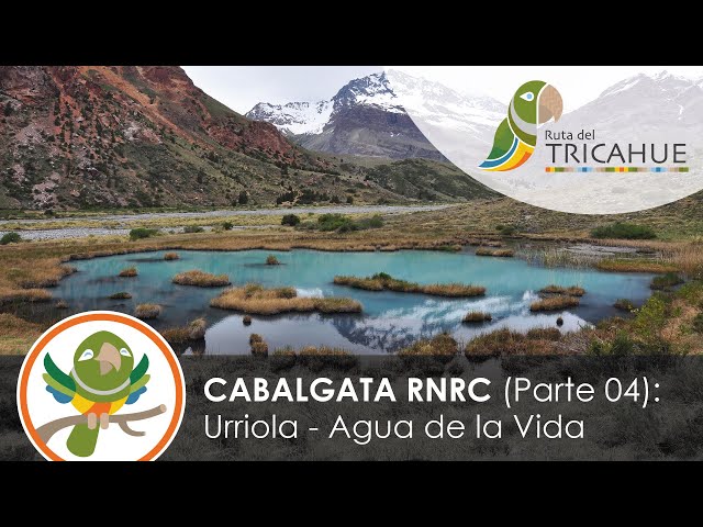 Cabalgata Reserva Río de Los Cipreses Parte 04: Agua de la Vida. VR 360 4K [ENGLISH SUBS]