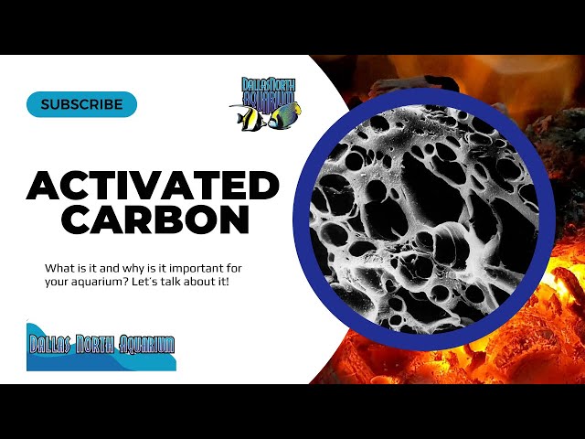 What is activated carbon and how does it work?