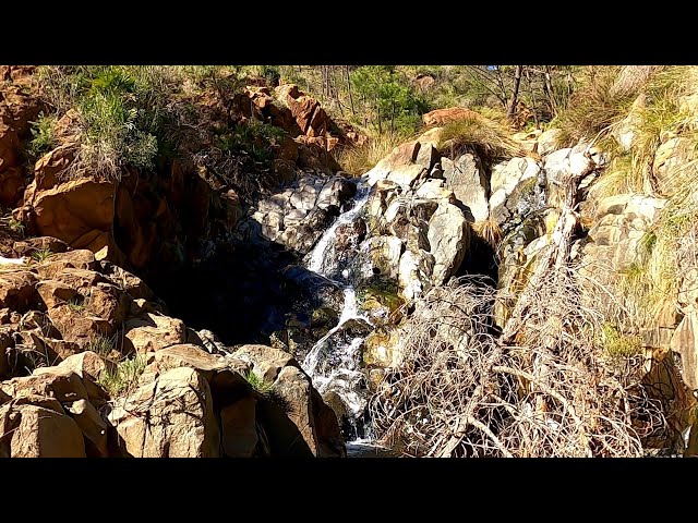 Trek in Estepona to the waterfalls at the Fuente del Saucillo