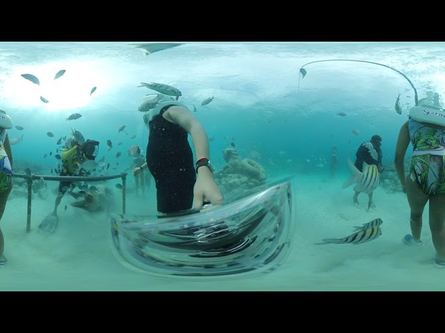 Xcaret Sea Trek 360° - Insta360 One X