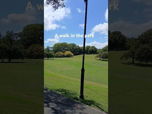 How big is this park? #aucklandnz #dailyvlog  #newzealand #auckland #park #walking