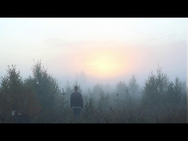 Frosty and Foggy Mornings of October | NORDIC LIFE #2