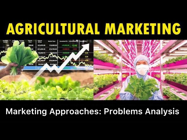 Agricultural Marketing || Approaches || Marketing Problems Study || 2025